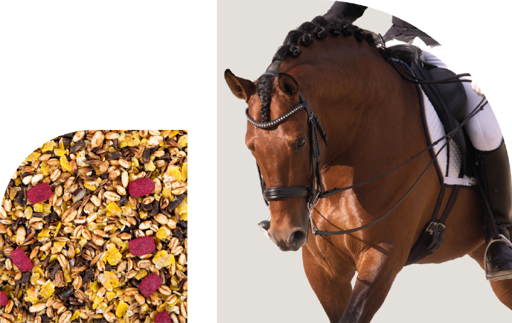 bild hoeveler sortiment pferdefutter sport neu